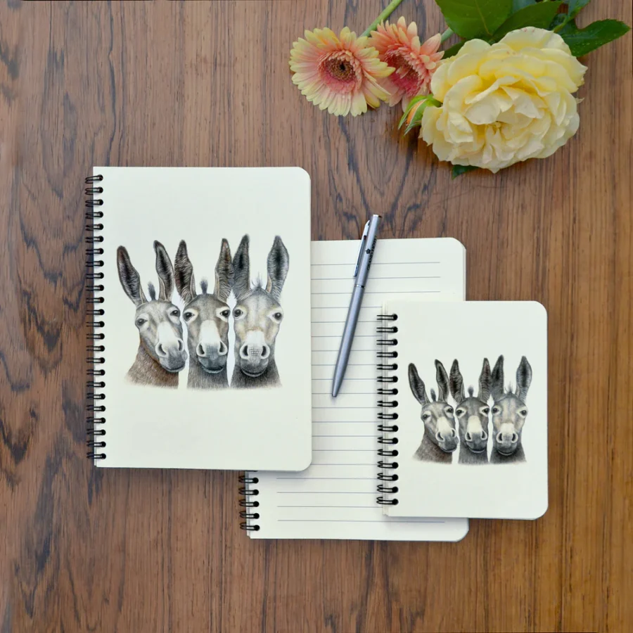 Objets de Bibi - Charlotte Nicolin. L'amore per la natura, gli animali e i dettagli. Quaderno a righe con anelli, tema i simpatici asini