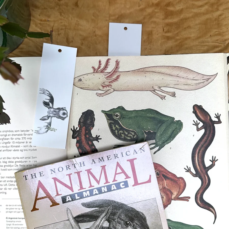 Objets de Bibi - Charlotte Nicolin. Segnalibro con stampa Forest Prince da abbinare al quaderno della stessa serie.