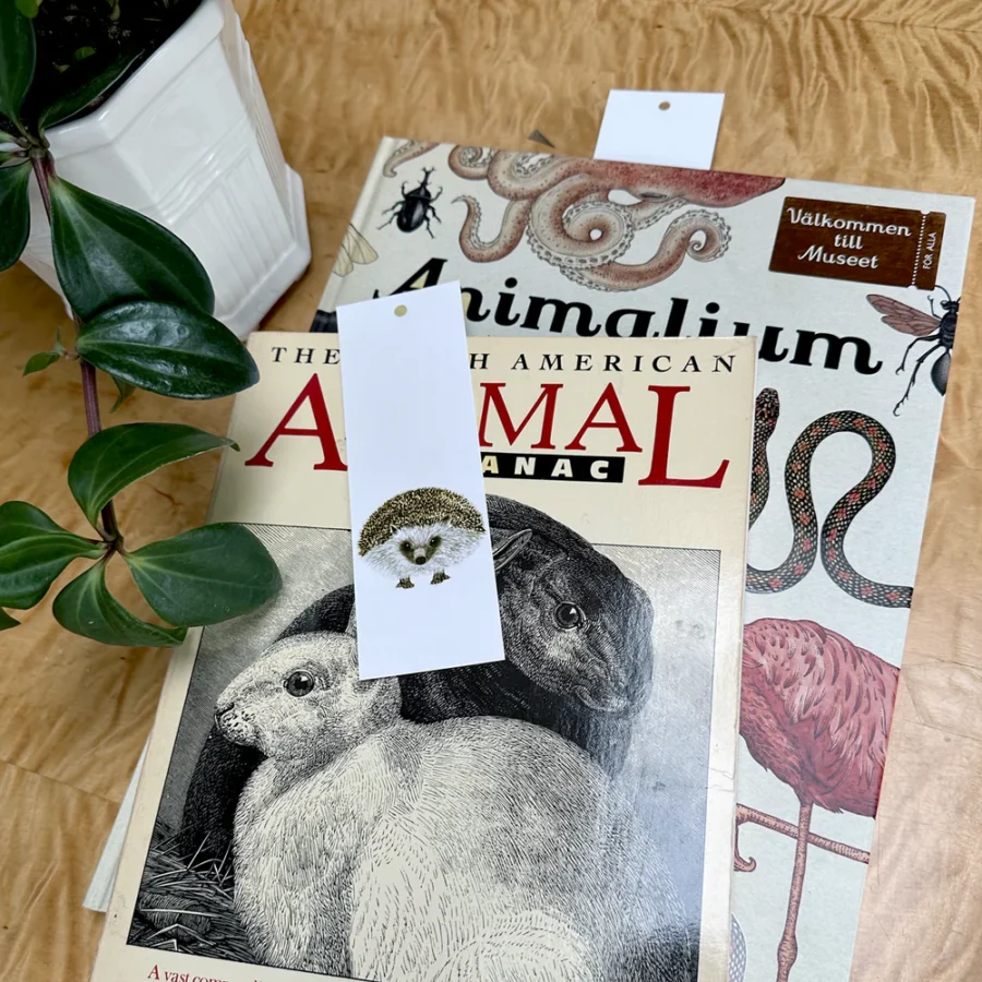 Objets de Bibi - Charlotte Nicolin Un simpatico segnalibro da abbinare al quaderno.